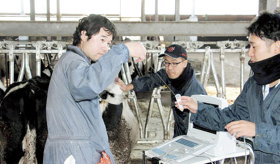 乳牛の飼養管理指導・診療